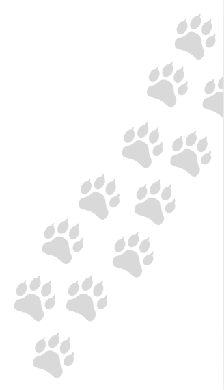 gdc/archivos/Captura de pantalla 2025-10-25 a la(s) 12-53-49 p-m-.png